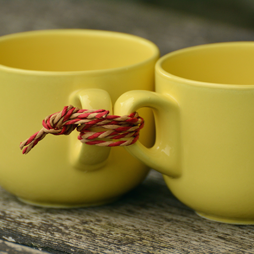 Two cups tied together to show rapport