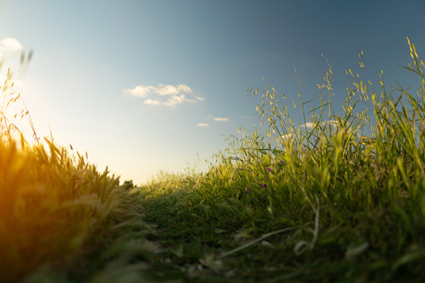 countryside view with blue sky