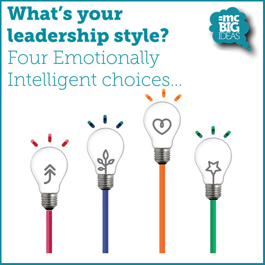 Intelligent Leadership